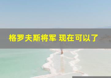 格罗夫斯将军 现在可以了